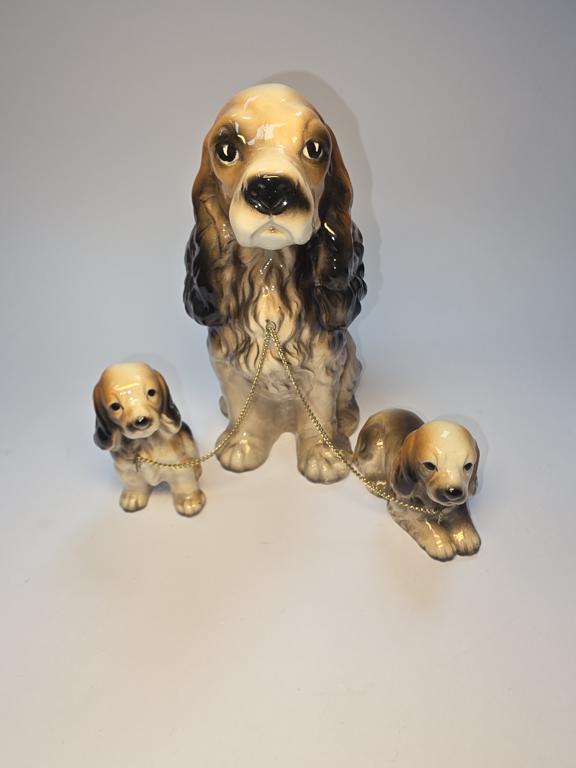 Familia de perritos japoneces